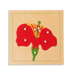 Puzzle flor, GM214BN00, material montessori, botánica, material escolar infantil.