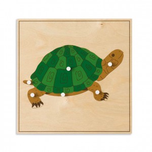Puzzle tortuga, GM2164N00, material montessori, biología, material escolar infantil.